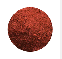 Oxyde de fer poudre rouge à vendre Oxyde de fer Fe2O3 Pigment rouge poudre catalyseur hématite minerai de fer pour les revêtements en caoutchouc et en plastique