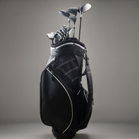 Ensemble Complet de Clubs de Golf Professionnels avec Logo Personnalisé, Bois en Titane, Driver et Fers Forgés