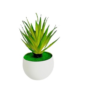 Planta Suculenta Artificial Qi Xing de 18 cm, PVC Suave, Decoración para el Hogar - Product Image 5