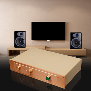 BRZHIFI <span class=keywords><strong>FM</strong></span> ACOUSTICS FM300A Amplificador de potencia clásico 150W * 2 Amplificador de audio de alta gama de aluminio - Product Image 4
