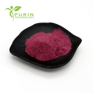 Ekstrak <span class=keywords><strong>Blackcurrant</strong></span> 10:1 <span class=keywords><strong>Blackcurrant</strong></span> kelas makanan dengan 25% aktivitas antioksidan - Product Image 2