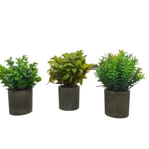 LUYI B2B Liquidación: Set de 3 Mini Plantas Artificiales en Maceta de Plástico para Decoración de Hogar, Jardín y Oficina - Product Image 5