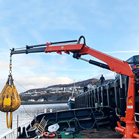 Grue télescopique marine offshore d'une tonne, rotation hydraulique à 360 degrés, télécommande sans fil avec moteur et boîte de vitesses pour bateau