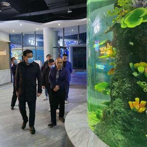 Aquarium en acrylique créatif, irrégulier, transparent, grand aquarium mural, aquarium, scène d'océanarium, personnalisé - Product Image 5