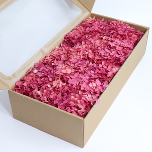 อินส์ สไตล์ ไฮ คุณลิตี้ ฟอร์เอเวอร์ ลาสติ้ง แอนนา ไฮเดรนเยีย กล่อง 100 กรัม หลากสี เป็นมิตรกับสิ่งแวดล้อม สำหรับตกแต่งบ้าน วันอีสเตอร์ วันคริสต์มาส - Product Image 6