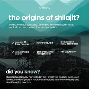 Cápsula shilajit OEM resina shilajit do Himalaia 85 minerais suporte ao cérebro aumentar a força masculina cápsulas de extrato shilajit