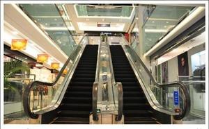 Les fabricants fournissent des escaliers mécaniques et des ascenseurs électriques pour les centres commerciaux et les supermarchés. - Product Image 6