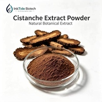 Approvisionnement en gros d'usine : Poudre d'extrait de Cistanche de qualité supérieure, Extrait naturel de Cistanche Deserticola pour l'industrie alimentaire et nutraceutique