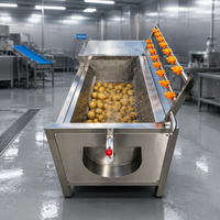Machine automatique de nettoyage de patates douces, machine à éliminer les résidus de gingembre, brosse à éplucher les pommes de terre