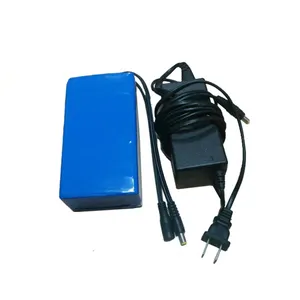 Batterie lithium-polymère rechargeable 12 v, 2ah, 4ah, 5ah, 6ah, 10ah, 20ah, 12 volts, 20 amp, avec PCB