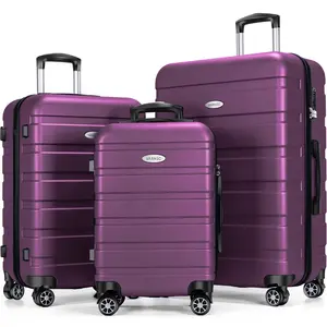 Vendita calda 48 ore spedizione grande capacità impermeabile silenzioso ruote TSA lucchetto 24 26 28 pollici ABS valigia da viaggio bagaglio