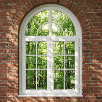 Hochwertige Maßgefertigte UPVC-Bogenfenster im Französischen Design mit Grillrahmen, Dekorative Baufenster für Luxus-Wohnprojekte