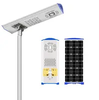 태양 광 발전 조명 시스템 가로등 안뜰 램프 녹색 벨트 조경 램프 반점 가격