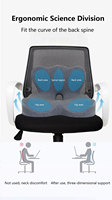 Chaise de bureau ergonomique et siège de voiture coussin de coccyx en mousse à mémoire de forme ébauches de sublimation pour soulager la douleur oreillers lombaires et coussins de siège