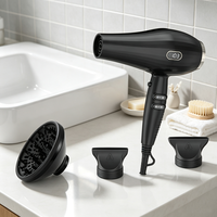 Sèche-cheveux professionnel 3 vitesses réglables 2000W avec affichage LED, air chaud/froid, diffuseur puissant, moteur AC compact pour la maison, le salon de coiffure et l'extérieur