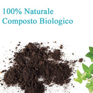 Terriccio Agrumi 20L Con Osmocote Per Limoni Aranci Mandarini E Kumquat - Product Image 4