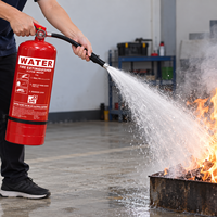 Extincteur à eau HOWDY, classe B, équipement de lutte contre l'incendie, extincteur pour installations électriques avec manomètre à valve