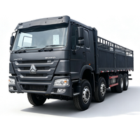 Camion porte-palans diesel SINOTRUK HOWO d'occasion, poids lourd 6x4 8x4, 371/375 CV, norme Euro 2, capacité de charge 41-50t, pour l'Afrique