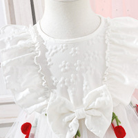 Robe de Fée pour Bébé Fille avec Grand Nœud et Broderie Florale, Manches Courtes en Polyester, Tenue de Fête Estivale Tendance pour Enfants