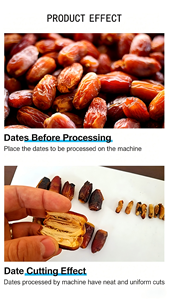 Machine à piler les Dattes, vente directe, date automatique professionnelle et pilon de fruits, pilon de pommes - Product Image 6