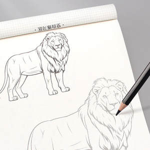 Libro di tracciatura a mano per principianti di fumetti: disegno a tratto di personaggi anime per bambini, schizzi di base per autoapprendimento da zero - Product Image 4