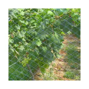 Hot Selling Fruit And Vegetable Bird Protection Net 100% Original HDPE Bird Protection Net For Gardens And Agriculture