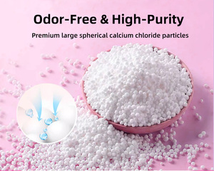 Sachets <span class=keywords><strong>d</strong></span>éshumidificateurs réutilisables <span class=keywords><strong>pour</strong></span> la maison, anti-moisissure, <span class=keywords><strong>pour</strong></span> armoire et placard, absorbeurs <span class=keywords><strong>d</strong></span>'<span class=keywords><strong>humidité</strong></span> - Product Image 2