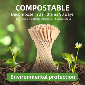 Brochettes jetables <span class=keywords><strong>en</strong></span> bambou pour <span class=keywords><strong>barbecue</strong></span>, surface lisse, petites brochettes à kebab, biodégradables, faciles à nettoyer, résistantes à la chaleur, <span class=keywords><strong>kit</strong></span> de 2 - Product Image 6