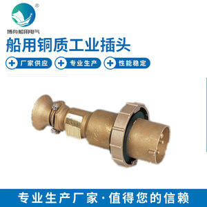 Nuevo Conector Industrial Marino CTS2-2/I4 de Cobre, Enchufe Metálico Impermeable de Alta Corriente para Barcos, Herraje Marino Industrial - Product Image 2