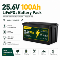 Batterie au lithium LiFePO4 25,6 V 100 Ah 24 V 2560 Wh pour stockage d'énergie solaire domestique et système d'onduleur de secours pour camping-car