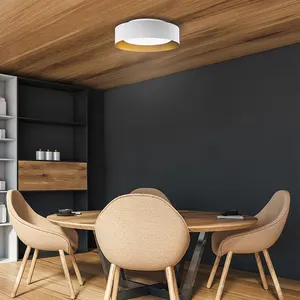 Modern Round Light-emitting Diode Ceiling Lamp 13-inch Single Macaroon Glass Bedroom Kitchen Ceiling Lamp Surface Mounting Lamp