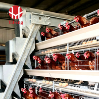 Cage d'élevage de poulets de type A à haute capacité avec cadre galvanisé pour les fermes avicoles commerciales, fournisseur d'équipements d'élevage de volailles