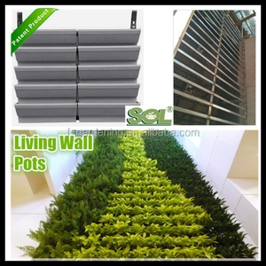 Jardin Vertical Vertical Living Green Wall, Jardin Vertical en Maceta - Product Image 5