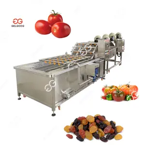 Multi Functional High Capacity Ozone Vegetable Washing Machine Price Raisin Tomato Washing and Drying Machine
