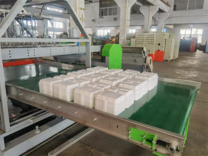 Sekali Pakai <span class=keywords><strong>Ps</strong></span> Polistirena Eps Busa Piring Makanan Cepat Saji Mesin Pembuat Kontainer Lini Produksi - Product Image 5