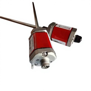 Capteur de déplacement magnétostrictif, série R RHM0255MD701S1B1101, capteur de déplacement pour équipement lourd - Product Image 3