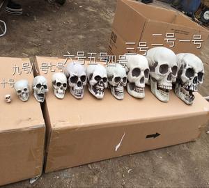 Cabeza de esqueleto humano para Halloween, esqueleto aterrador, cabeza de plástico, esqueleto de Halloween - Product Image 2