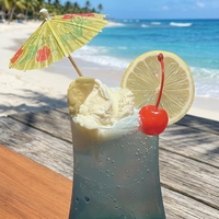 Poignées d'ombrelles à cocktail en bois personnalisées écologiques, biodégradables, adaptées à l'utilisation pour les boissons dans les bars, les fêtes et les restaurants