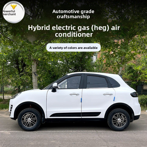 Veicolo Elettrico a 4 Ruote, 4 Porte e 4 Posti Completamente Chiuso, Personalizzabile, per Anziani - Veicolo a Nuova Energia di Grande Successo - Product Image 4