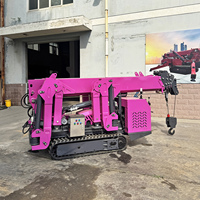 Mini-grue araignée certifiée CE 1t 2t 3t, petite machine de levage araignée avec stabilisateurs hydrauliques, couleurs personnalisées