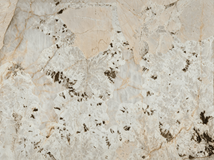 Le quartzite Alpinus, également appelé Peacock Screen, est un quartzite naturel de qualité supérieure extraissé du Brésil. Cette pierre de luxe distinctive - Product Image 5