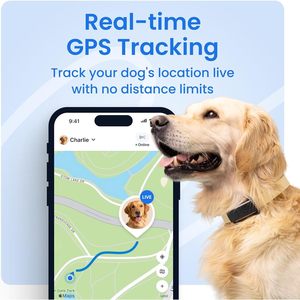 Rastreador GPS para Perros Tractive con 1 Año de Batería, Rastreo en Tiempo Real, Monitoreo de Mascotas - Product Image 2