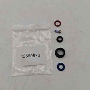 Besoin de kits de réparation pour ces injecteurs pour Chevrolet <span class=keywords><strong>GMC</strong></span> Olds 4.2L 02-04 12569573 19244623 - Product Image 3