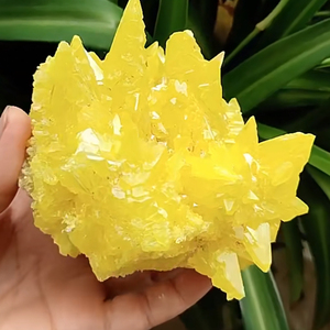 Vente en gros usine, Meilleure vente : Grappe de cristaux de quartz soufré jaune naturel brut, spécimen minéral, mascotte Feng Shui - Product Image 2