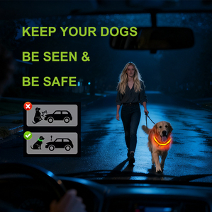 Collar reflectante para mascotas con luz intermitente a prueba de agua personalizado ajustable USB tipo C recarga collar luminoso LED de lujo para perros - Product Image 4