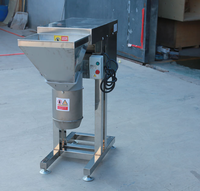 Commerciële roestvrijstalen motor aangedreven 380V 3KW fruit- en groentepureemachine multifunctionele chilipeper- en knoflookpasta machine
