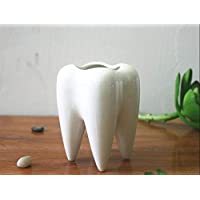 Maceta Creativa de Cerámica Blanca con Forma de Diente, Maceta para Suculentas, Contenedor para Flores, Portalápices de Escritorio, Kit de Decoración para el Hogar - Product Image 6