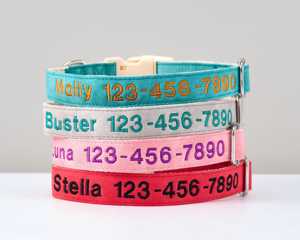 Collier pour chien en daim bleu sarcelle brodé avec nom et coordonnées personnalisés, laisse multicolore réglable - Product Image 3