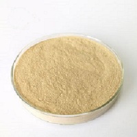 Poudre de levure de bière comme additif alimentaire pour le bétail, la volaille, les animaux domestiques et la nutrition animale avec une réduction avantageuse