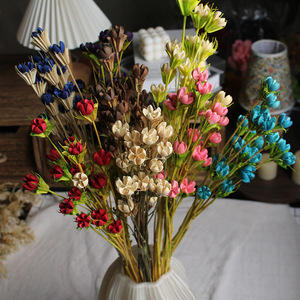 Flores de Pistacho Secas al por Mayor, Vainas de Pistacho Naturales Reales, Flores Secas para Decoración de Bodas y Navidad - Product Image 6